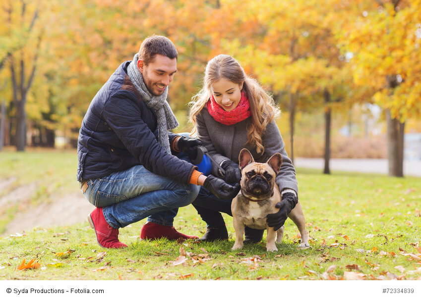 Frenchys brauchen den Familienanschluss und gehören auf keinen Fall in einen Zwinger!