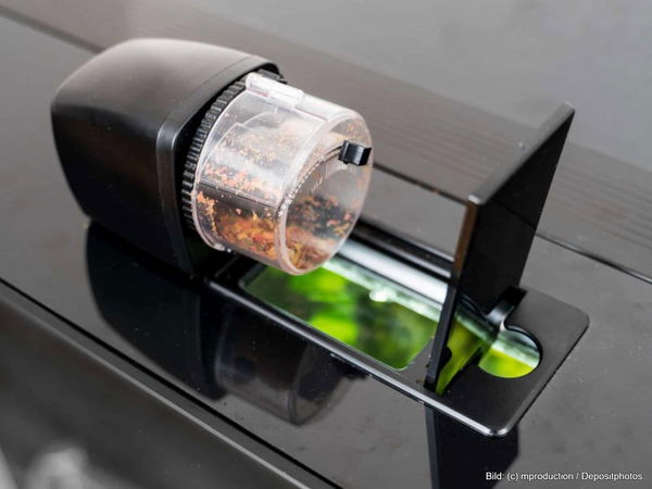 Kaufratgeber: Der beste Futterautomat für Fische