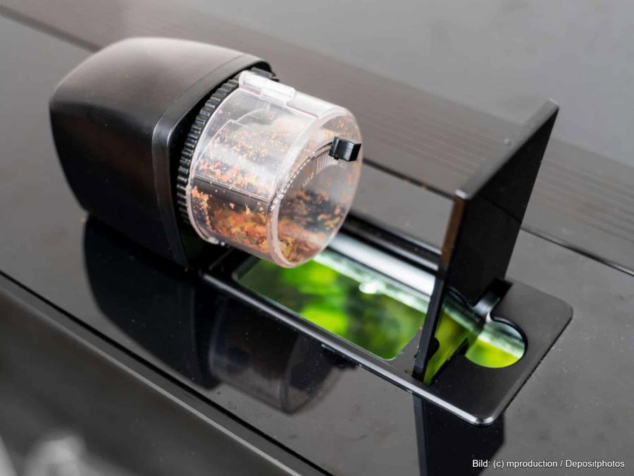 Kaufratgeber: Der beste Futterautomat für Fische