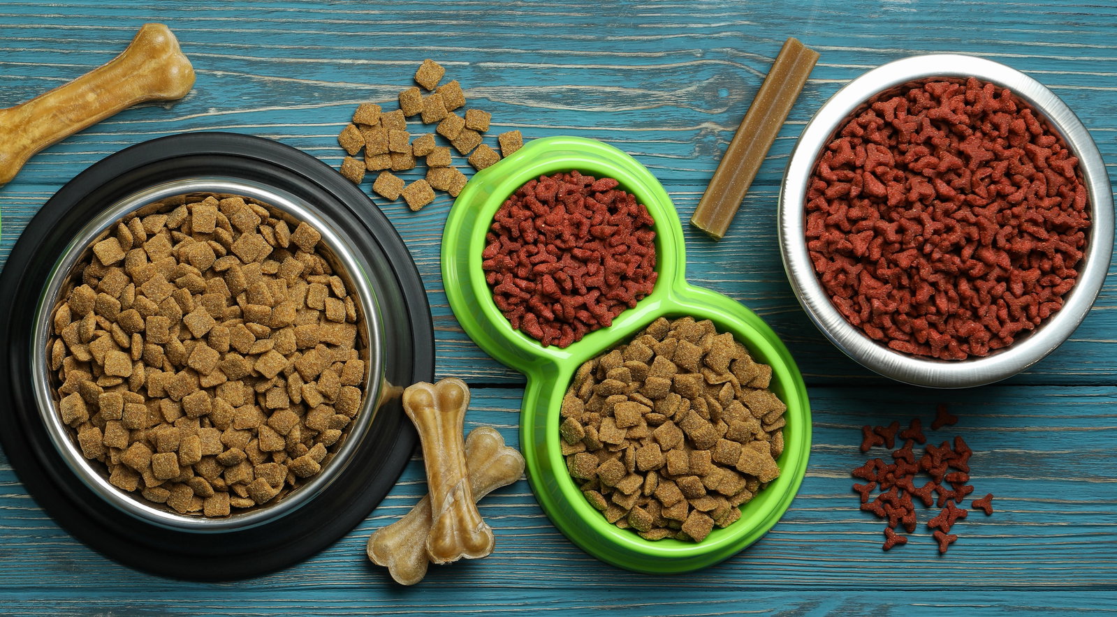 Trockenfutter Hund   Fluch oder Segen? | Haustiermagazin