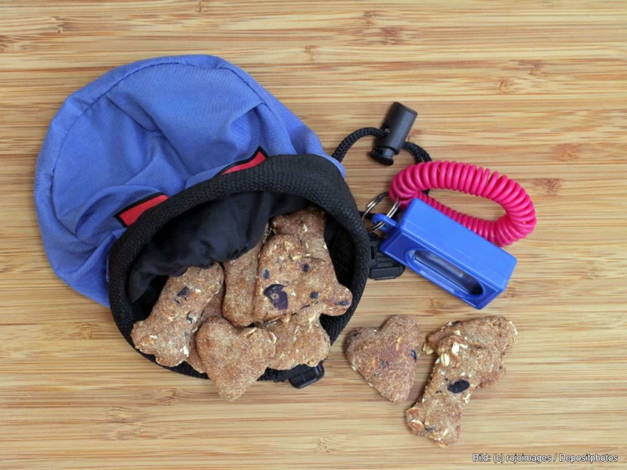 Kaufratgeber: Der beste Leckerlibeutel für Hunde