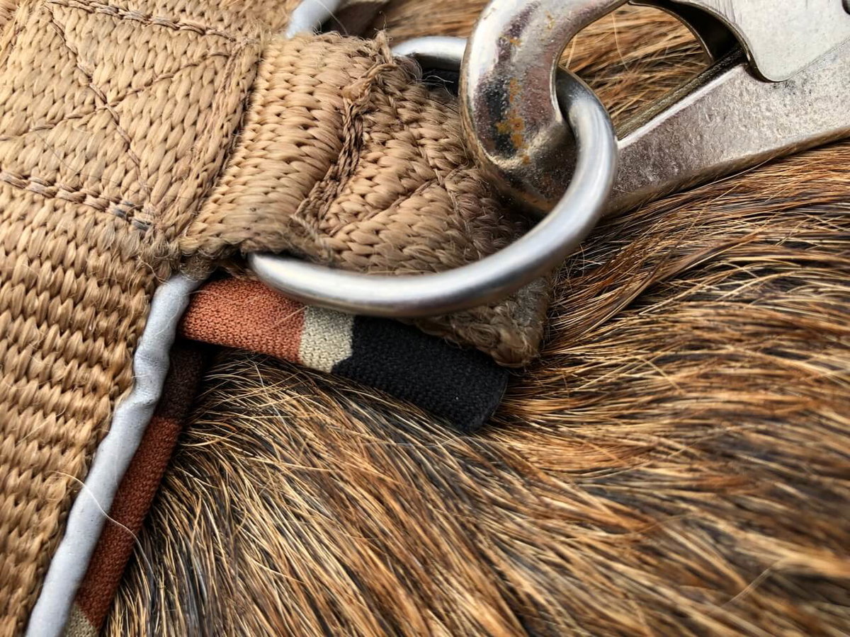 Haken für die Leine am Hundegeschirr.