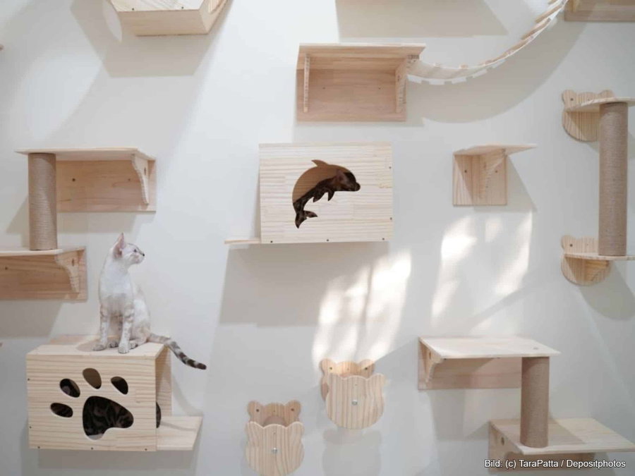 Kaufratgeber: Die beste Kletterwand für Katzen