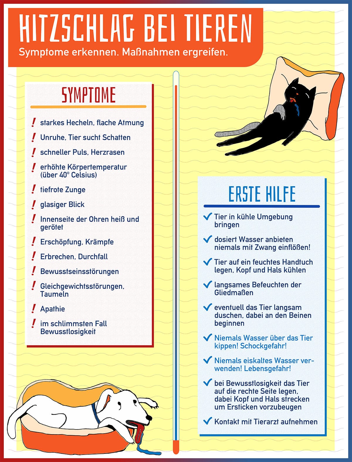 Infografik mit Symptomen und Erste Hilfe bei einem Hitzschlag bei Tieren