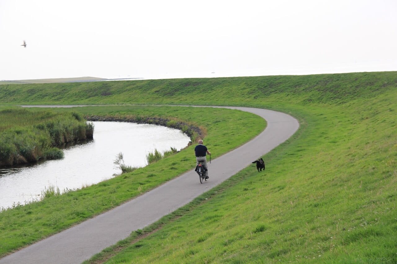 Ein Fahrrad auf einem Weg neben einem Deich mit einem frei laufenden Hund