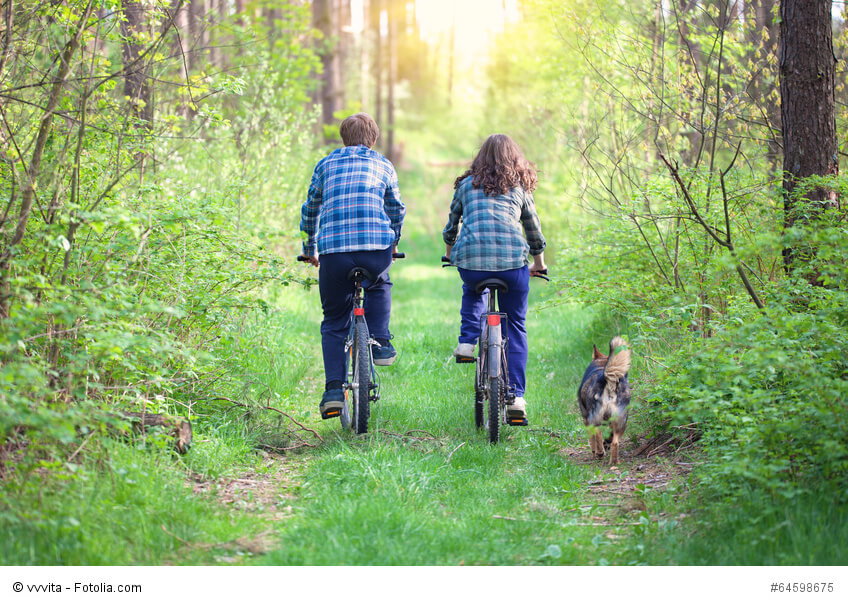 So übst du das Fahrrad fahren mit deinem Hund
