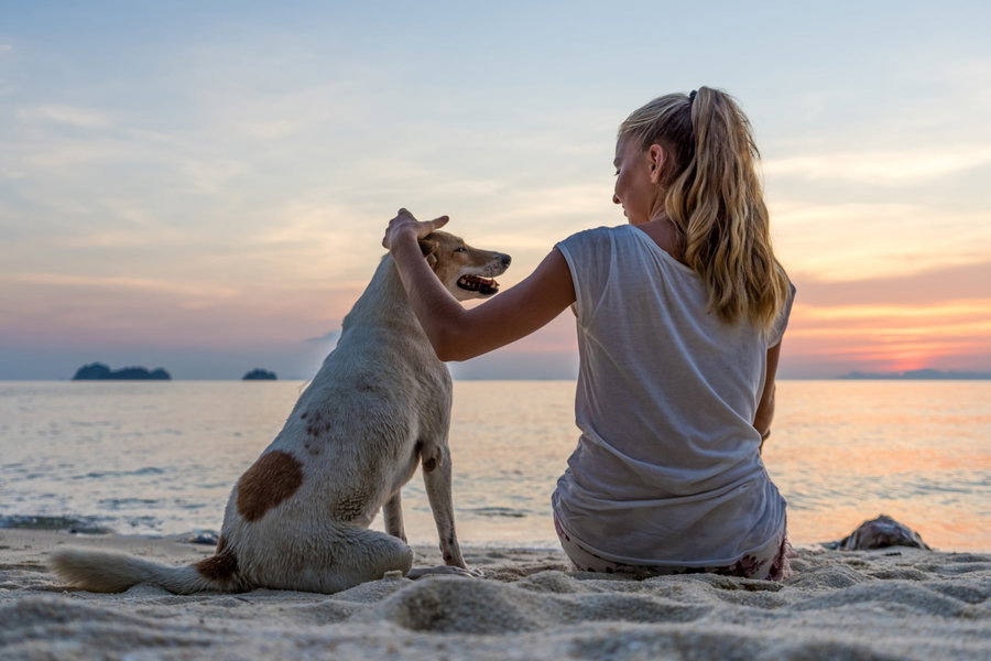 Dein Hund verrät dir, ob er dir vertraut - Erfahre seine geheime Sprache!