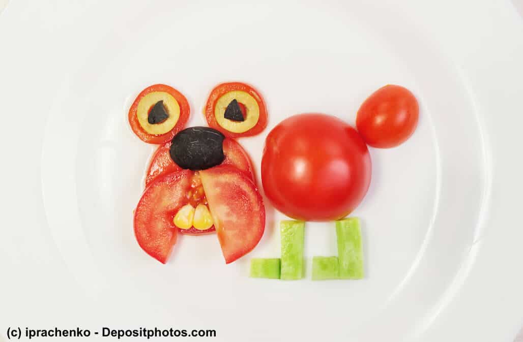 Ein Hund aus Tomaten und Gurken als Sinnbild dafür, ob eine vegane Hundeernährung möglich ist