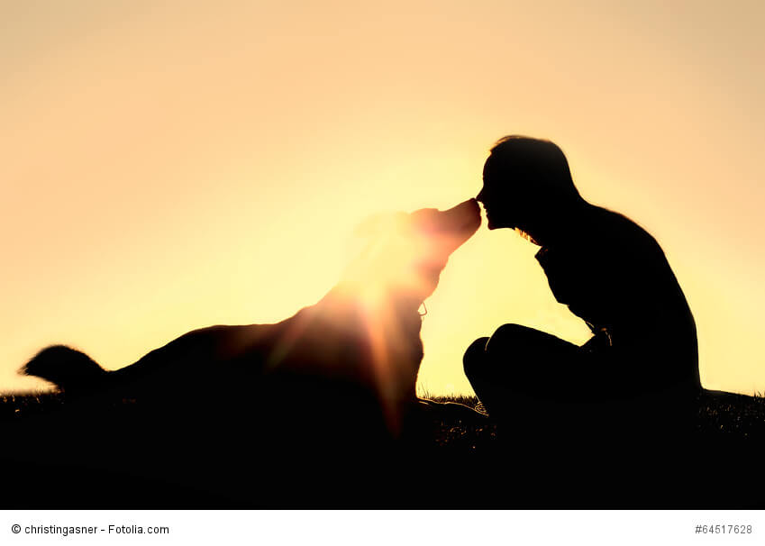 Schattenrisse eines Hundes, der liegt und am Gesicht seinem vorgebeugten Frauchen schnüffelt. Beschriftung lautet: Wenn Hund an unserem Gesicht riechen, drücken sie damit oft Zusammengehörigkeit aus.
