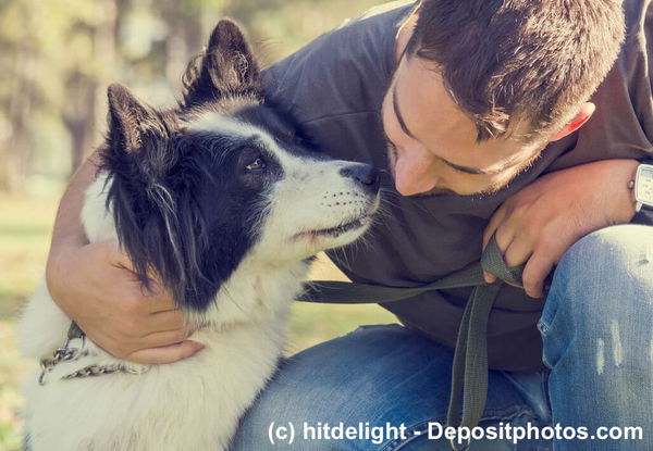 5 Dinge, über die sich ein zukünftiger Hundebesitzer vorab informieren sollte