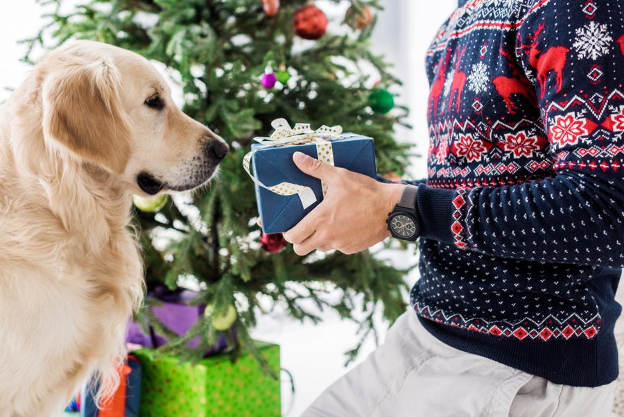 Santa Pfote kommt: Einzigartige Weihnachtsgeschenke für deinen Hund
