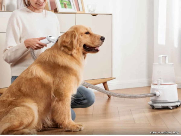 Neu auf dem Markt: Ultimativer Fell-Sauger für Hunde und Katzen!