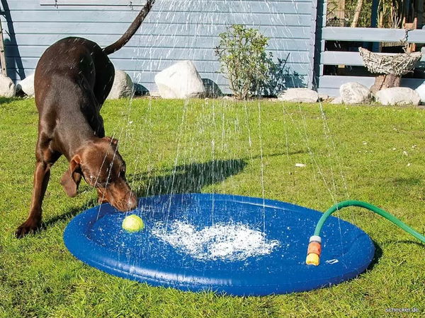 Kaufratgeber: Die beste Hunde-Wasserspielmatte