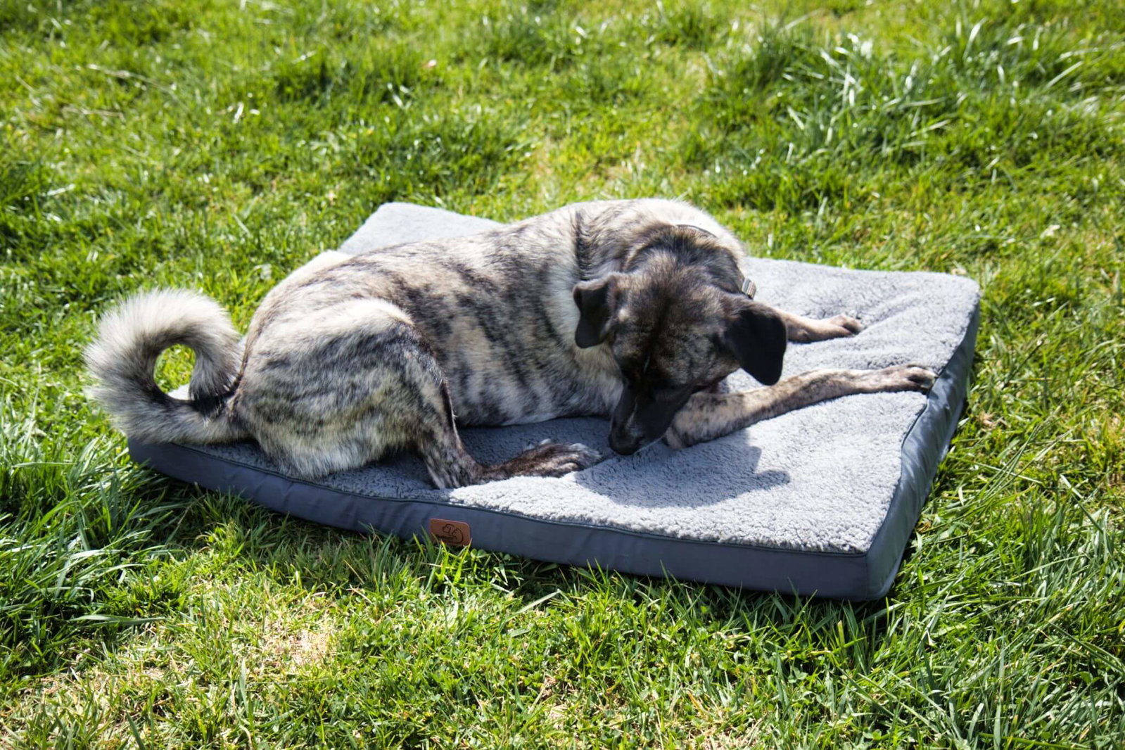 Die Oberfläche vom Hundekissen von Bedsure ist zwar kuschelig weich aber trotzdem schmutzabweisend. Das findet Testhündin Inge dufte!