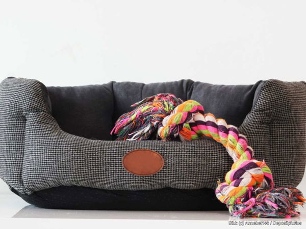 Kaufratgeber: Das beste waschbare Hundebett