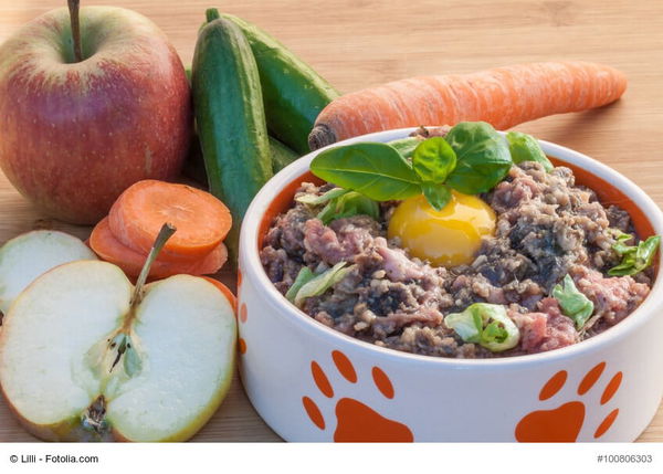 Klartext: Wie gut ist billiges Hundefutter?