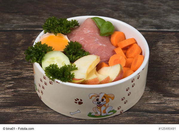 Purinarme Ernährung beim Hund