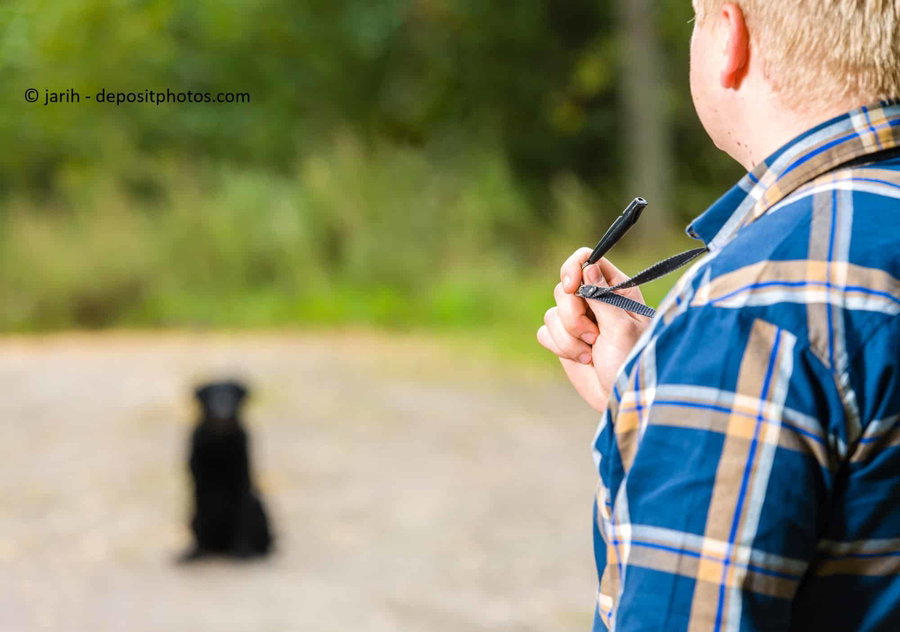 Kaufratgeber: Die beste Hundepfeife für jeden Hund