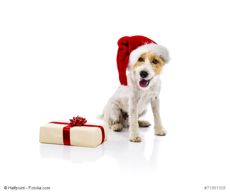 Bald ist Weihnachten. Geschenkezeit!