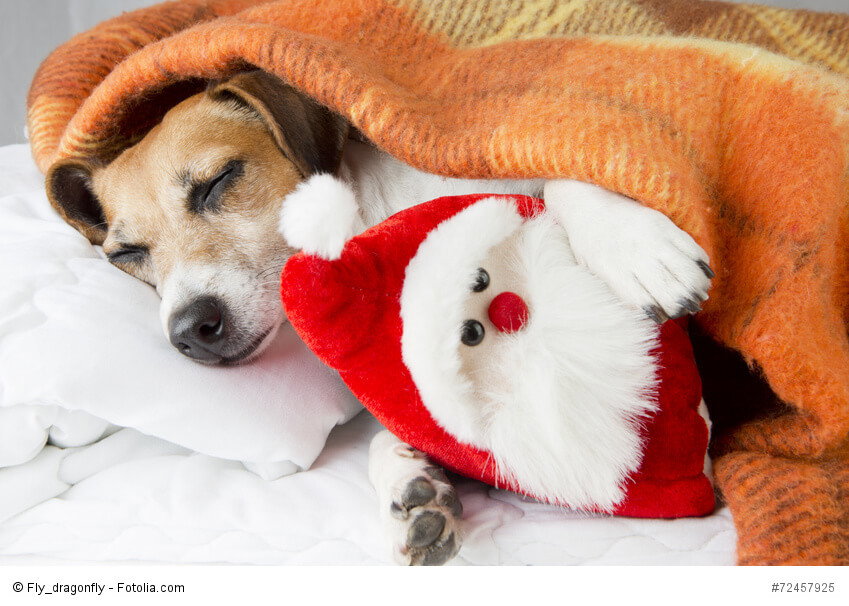 Bald ist Weihnachten.