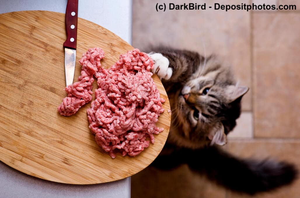 Eine Katze versucht Mett von einem Holzbrettchen zu klauen. Beschriftung lautet: Beim Barfen musst du auf eine ausreichende Nährstoffzusammensetzung achten und solltest Schweinefleisch vermeiden.