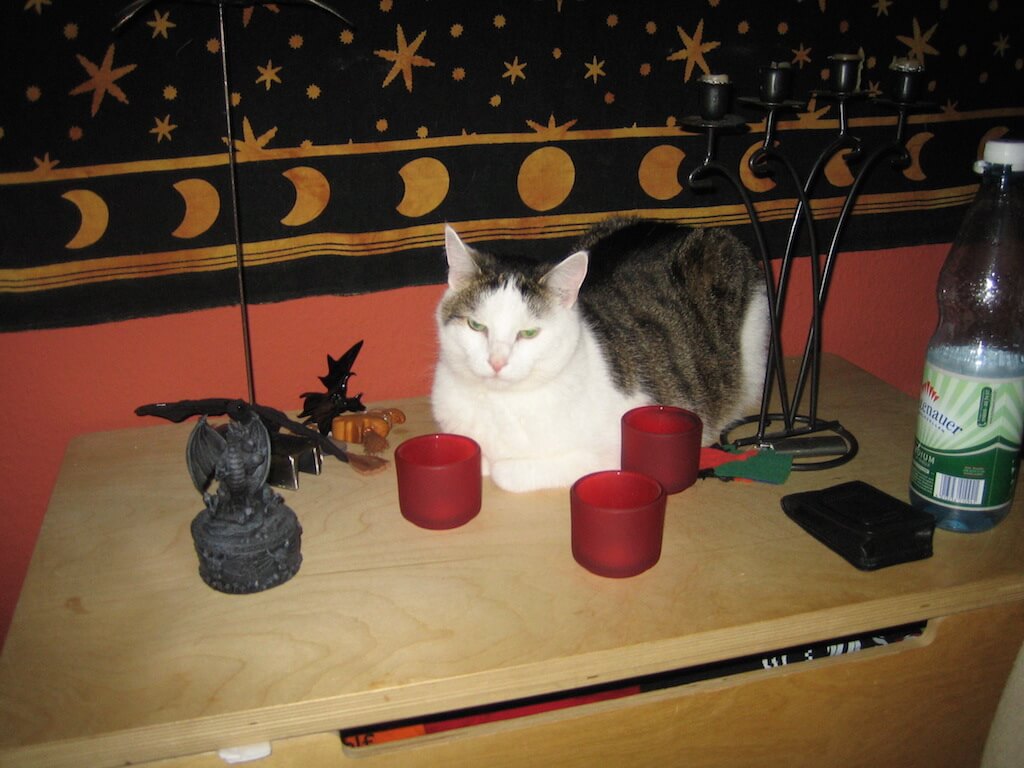 Eine Katze liegt auf einer Kommode