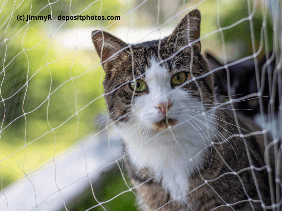 Kaufratgeber: Das beste Katzennetz für den Balkon