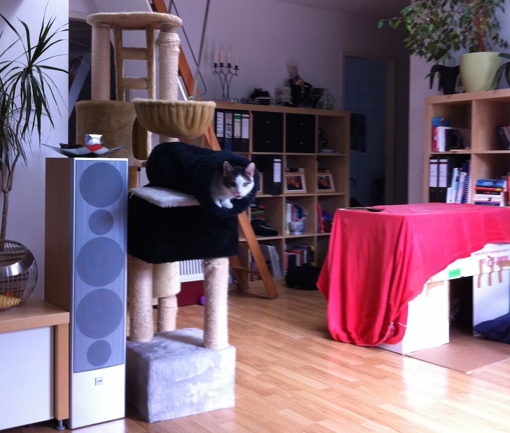 Ein Wohnzimmer mit Kratzbaum und Katzenkiste