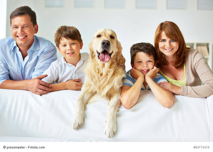 Golden Retriever sind Familienhunde. Sie werden krank, wenn sie nur im Zwinger gehalten werden.