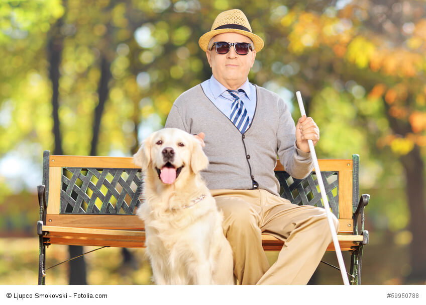 Blinden- und Signalhunde