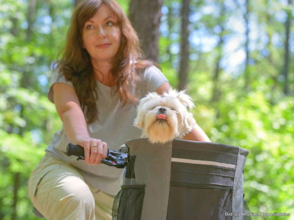 Kaufratgeber: Der beste Hundekorb für das Fahrrad