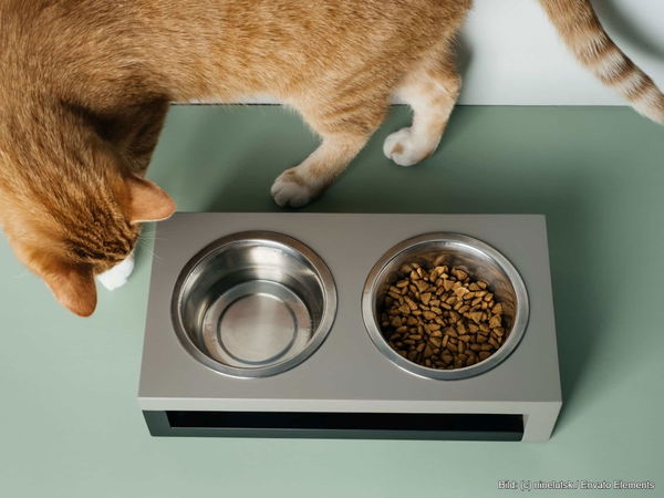 Kaufratgeber: Die beste Napfunterlage für deine Katze