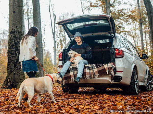 Kaufratgeber: Die beste Hundedecke Outdoor