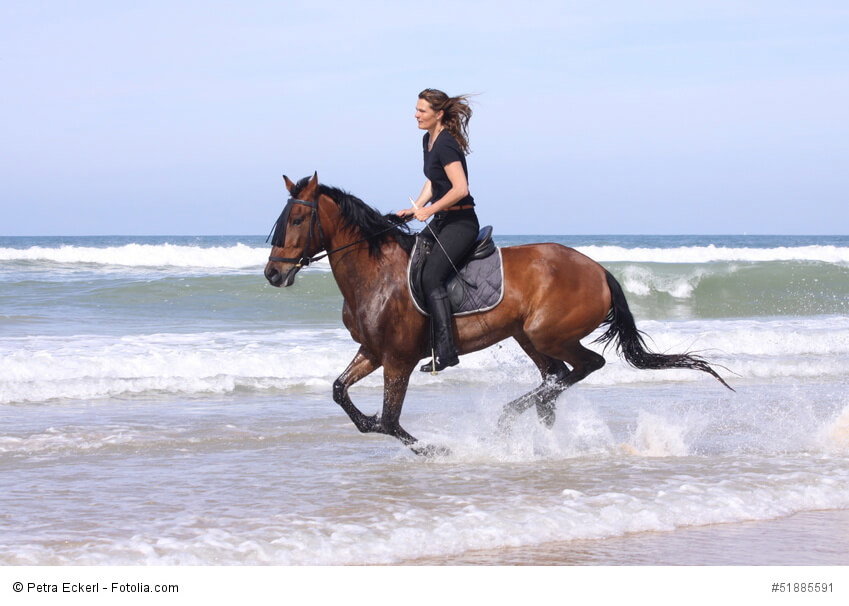galopp am strand