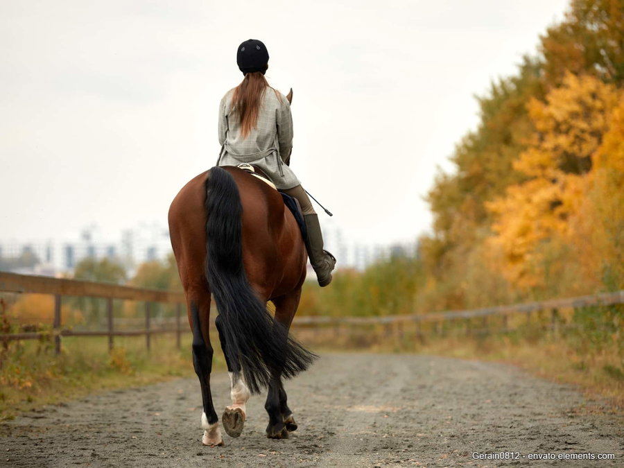 Ist Herbstlaub für mein Pferd giftig?