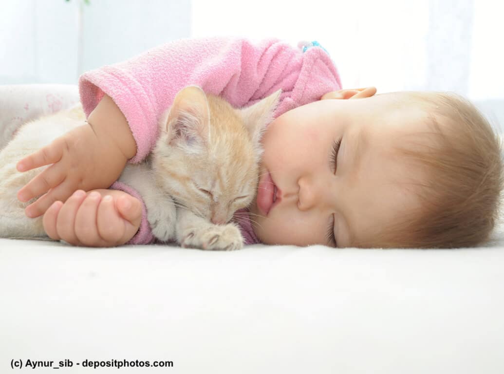 Baby schläft mit Kätzchen im Arm