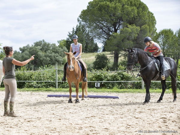 Berufe mit Tieren: Was macht ein Reitlehrer?