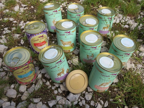 Wann brauchen Hunde Futter mit wenig Protein?