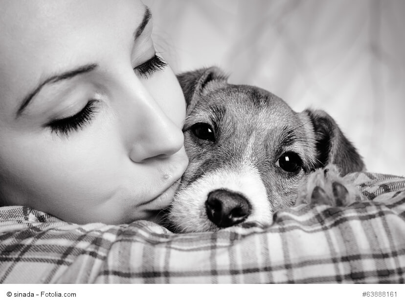 Mädchen küsst Jack Russel Terrier in schwarz-weiß. Beschriftung lautet: Nicht viele Hunde mögen es, in den Arm genommen zu werden. Den meisten reicht auch einfach deine Anwesenheit.