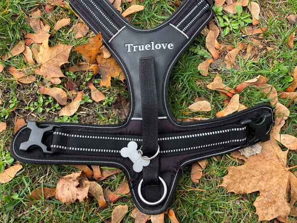 Geschirr "All-day-Adventure" von Truelove im Test
