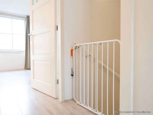 Kaufratgeber: Das beste Türschutzgitter für den Hund