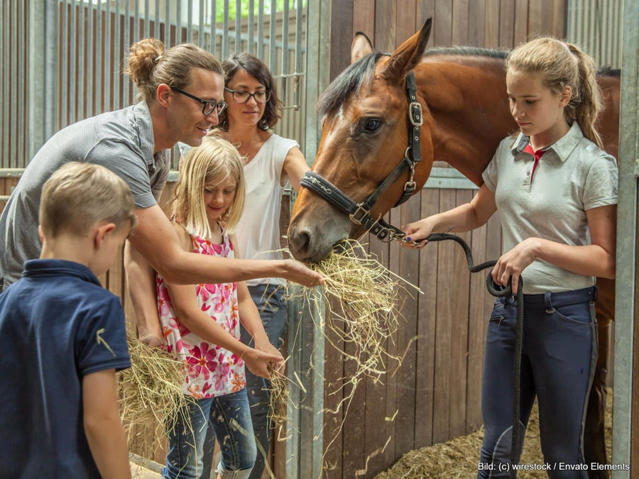 Was kostet ein Pferd?