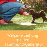Clickertraining für Hunde - So funktioniert's